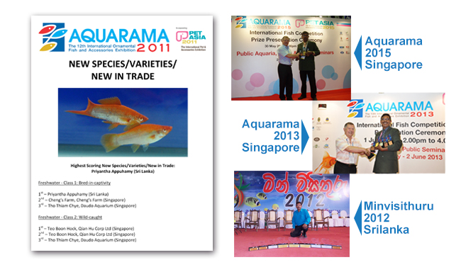 awards